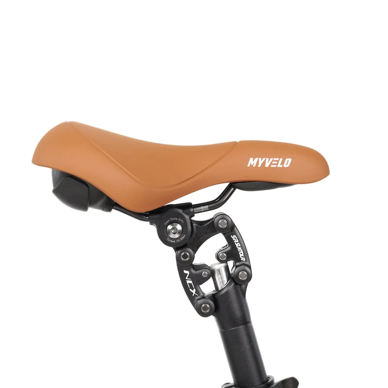 Molinar Elektro-Klapprad + Tragetasche
