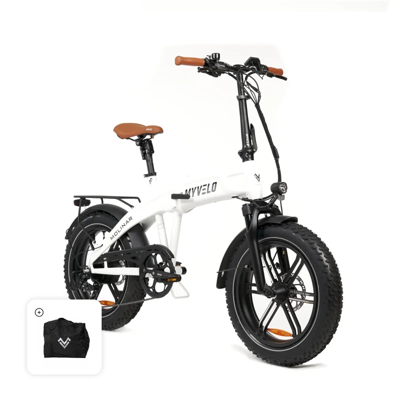 Molinar Elektro-Klapprad + Tragetasche