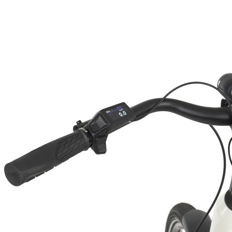 Nizza E-Bike Trekking