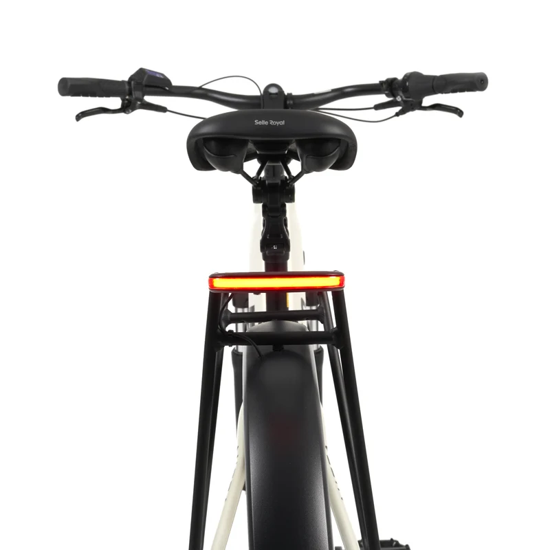Nizza E-Bike Trekking