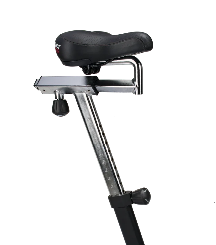 Assault Air Bike Classic