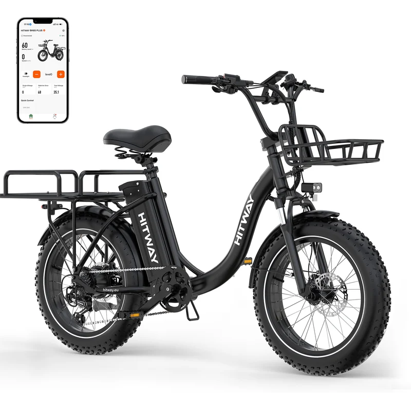 BK6S Plus Lasten-Elektrofahrrad