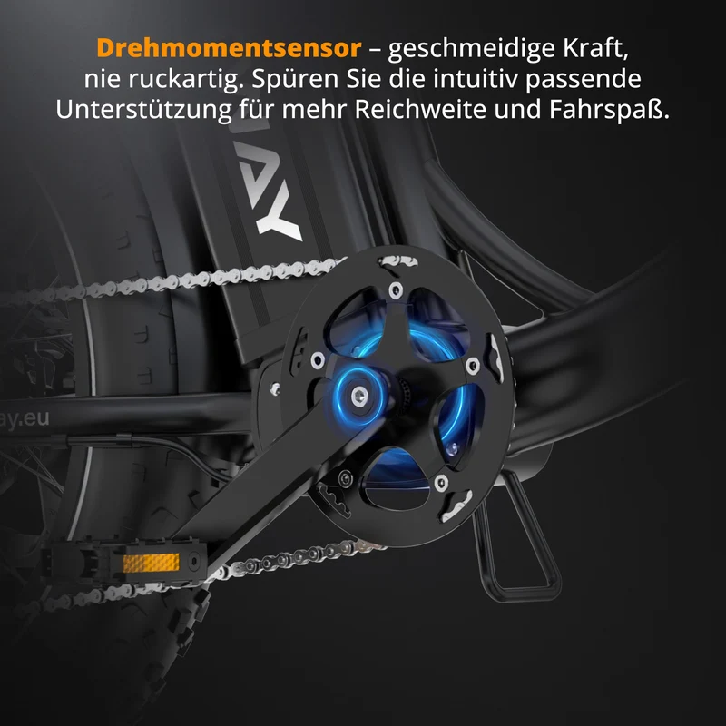 BK6S Plus Lasten-Elektrofahrrad