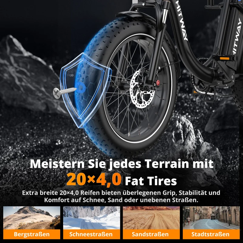 BK6S Plus Lasten-Elektrofahrrad