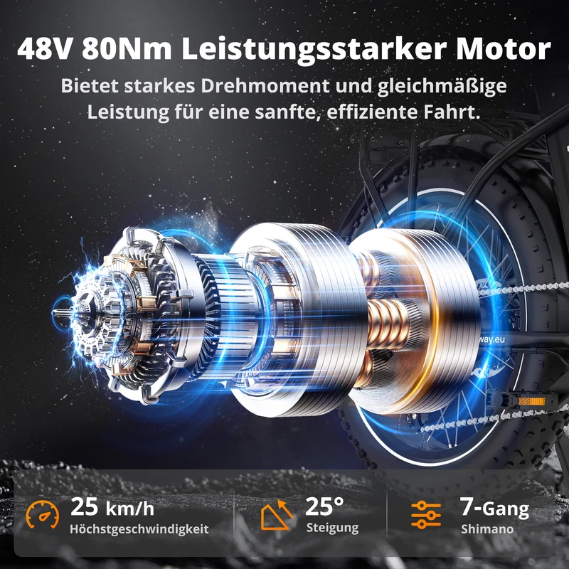 BK6S Plus Lasten-Elektrofahrrad