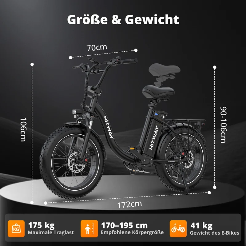 BK6S Plus Lasten-Elektrofahrrad