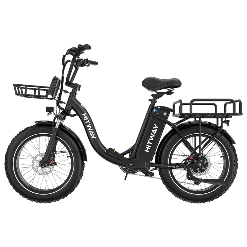 BK6S Plus Lasten-Elektrofahrrad