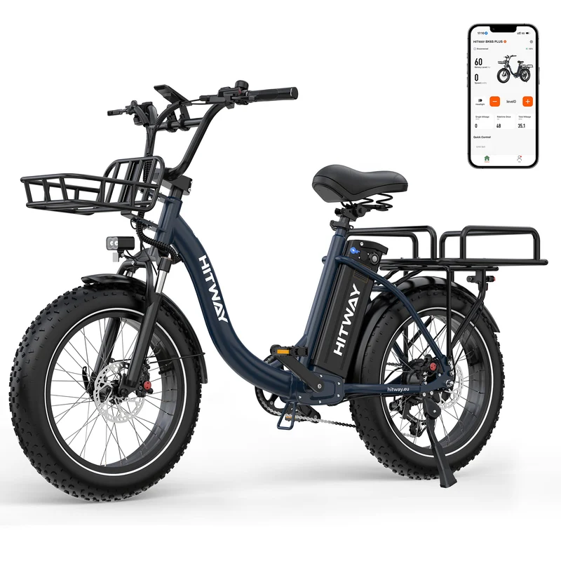 BK6S Plus Lasten-Elektrofahrrad