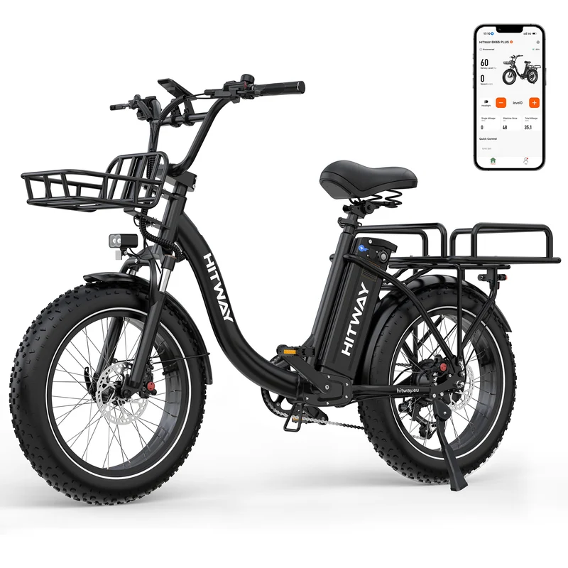 BK6S Plus Lasten-Elektrofahrrad