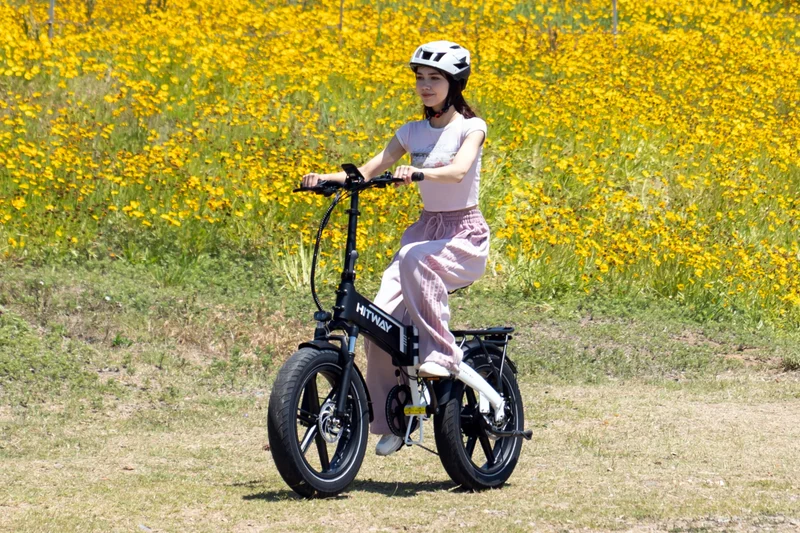BK10S faltbares Elektrofahrrad
