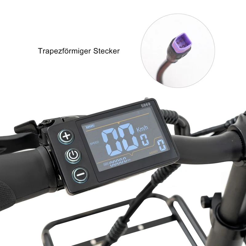 Ebike Display