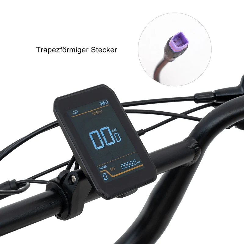 Ebike Display