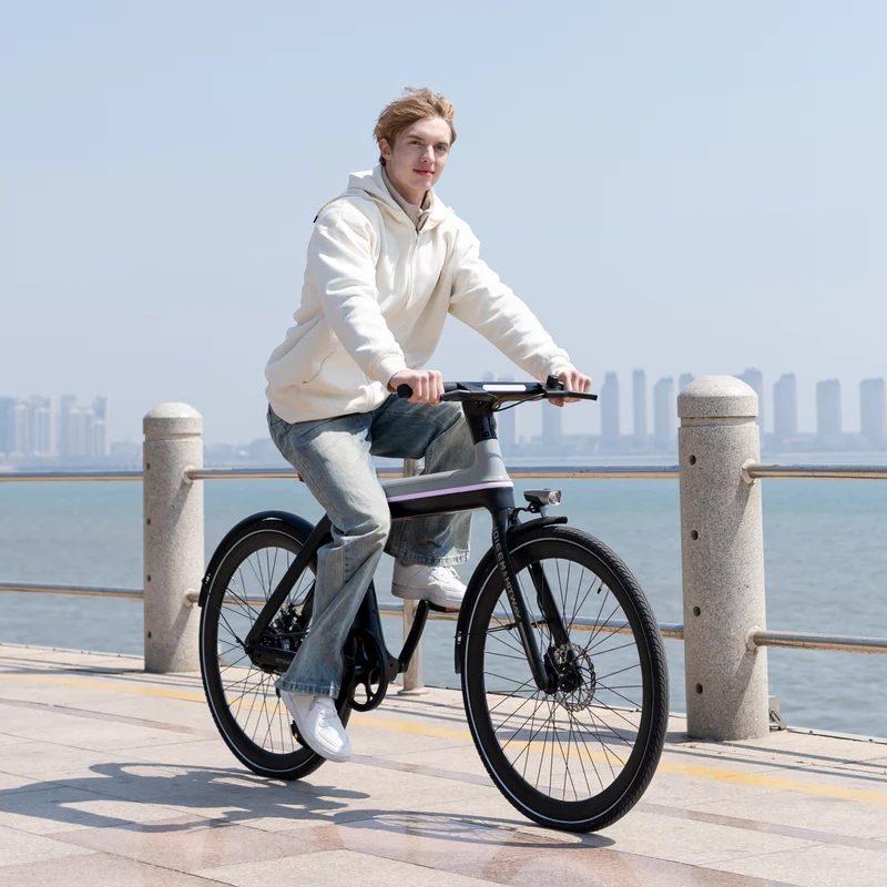 Ebike X