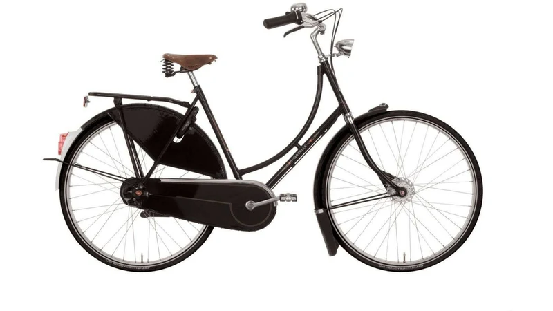 Gazelle Tour Populair R7T Wave