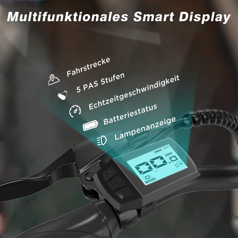 BK2 faltbares Elektrofahrrad