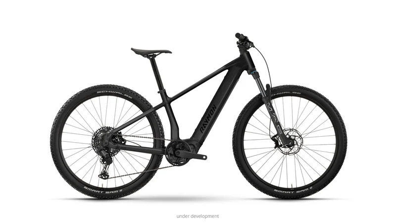Raymon Zorq Pro 27.5