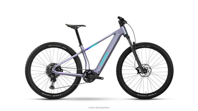 Raymon Zorq Pro 27.5
