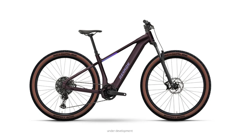 Raymon Zorq Ultimate 29