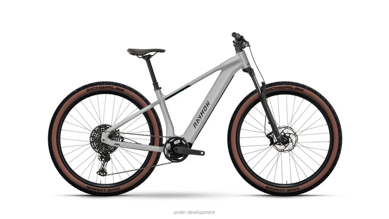 Raymon Zorq Ultimate 29