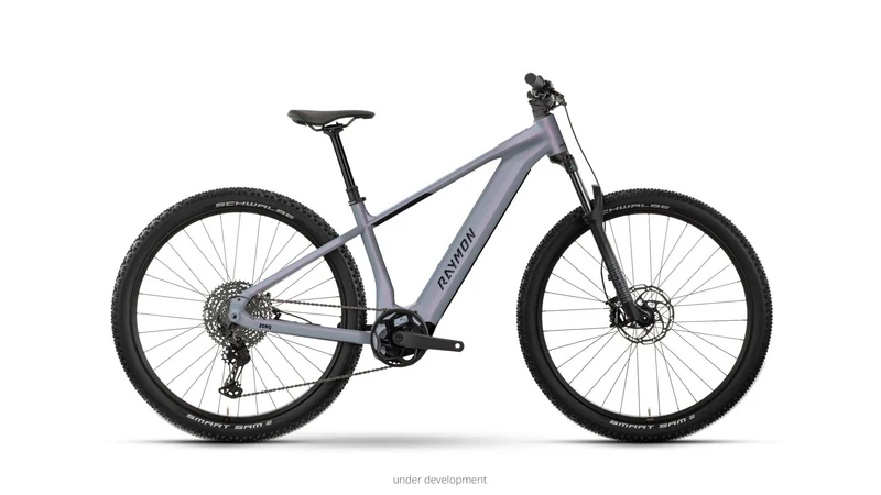 Raymon Zorq Elite 27.5