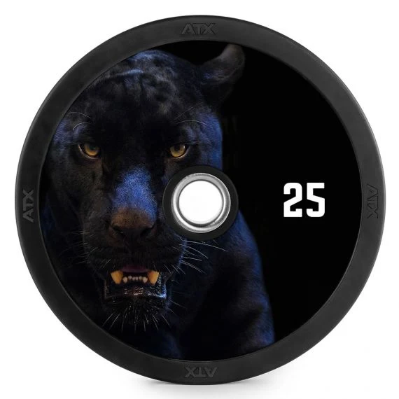 DYO Full Rubber Bumper Plates 5 - 25 kg
