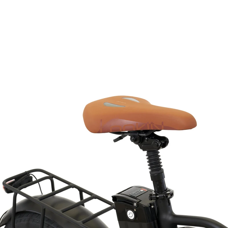Palma E-Fatbike Klapprad + Tragetasche