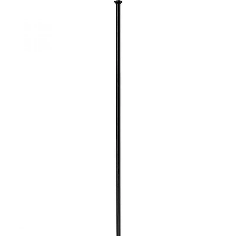 DT Swiss Speiche Competition 2.0 / 1.8 276 mm schwarz Straightpull - robuste Performance