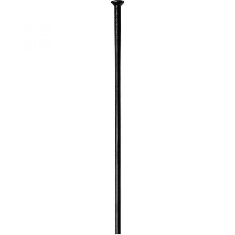 DT Swiss Speiche Champion 2.0 Straightpull VE100 266 mm schwarz - robuste Allround-Fahrradspeiche
