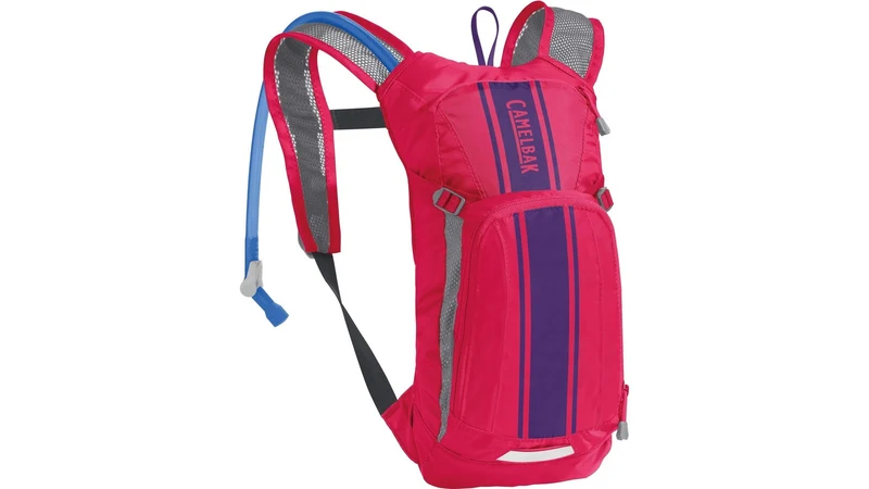 Camelbak Mini M.U.L.E.