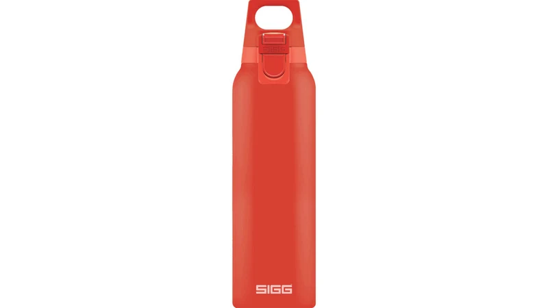 Sigg Hot & Cold One 0,5 Liter