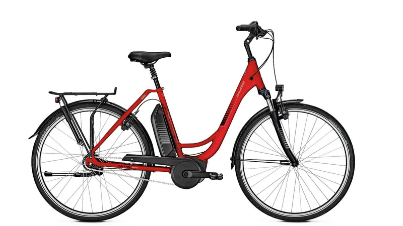 Raleigh Jersey 7 8,2 Ah FL
