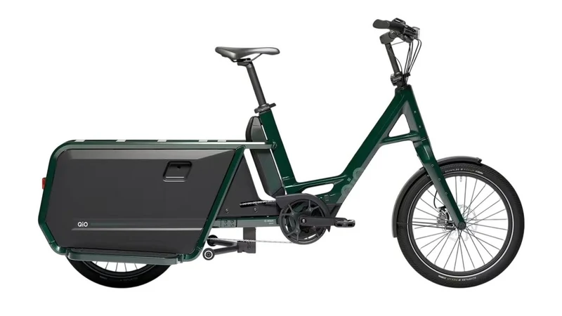 QiO LONG P9