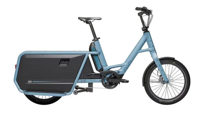 QiO LONG P9