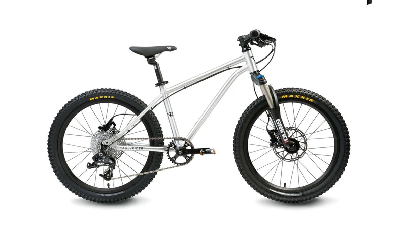 Early Rider Hellion 20 Trail