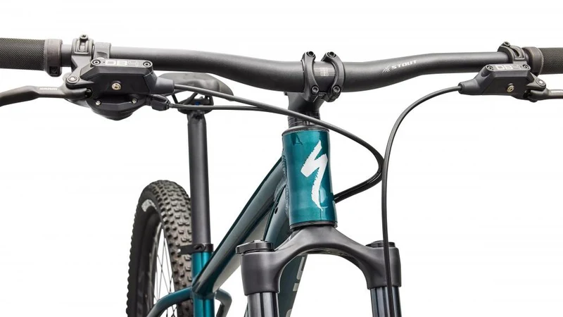 ROCKHOPPER EXPERT 29 Zoll Mountainbike - Größe XL - EMDMET/SHDWSIL