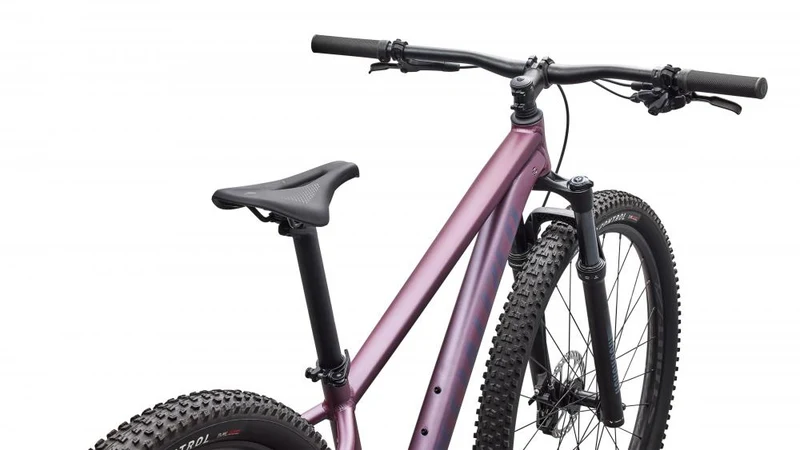 ROCKHOPPER EXPERT KH QTZMET/WHT M - 29" Mountainbike