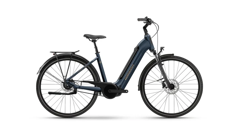 Winora TRIA R5f Low