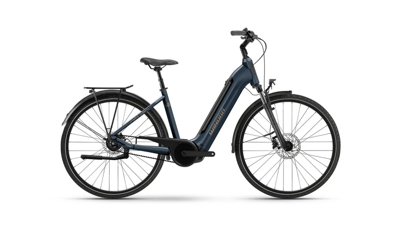 Winora TRIA R5f Low