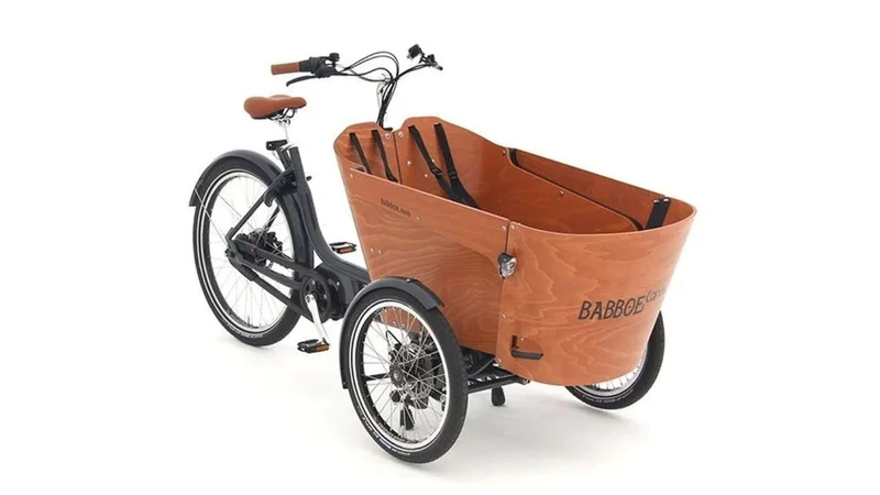 Babboe Carve Mountain 400Wh