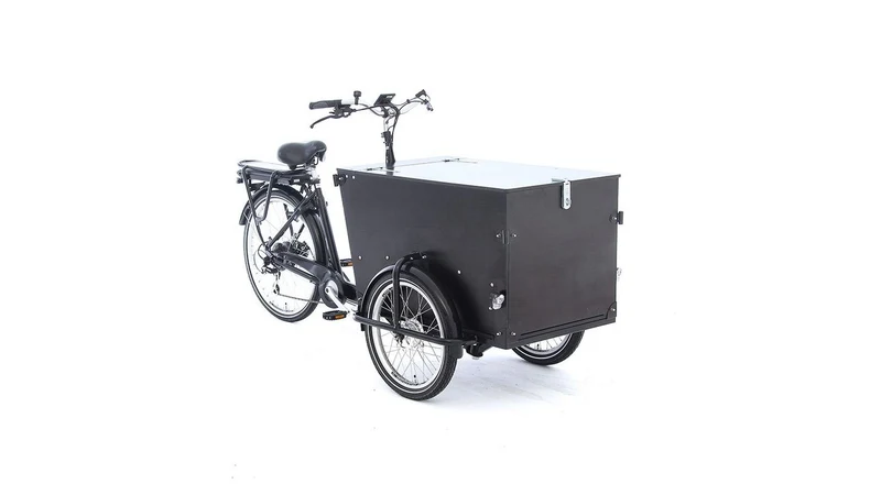 Babboe Pro Trike-E 300 L 450Wh