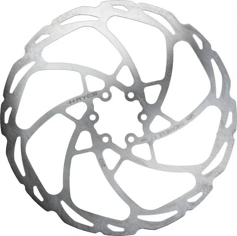 Hayes D-Series Bremsscheibe 6-Loch 160 mm Silber - MRC Technologie & QuickBite2