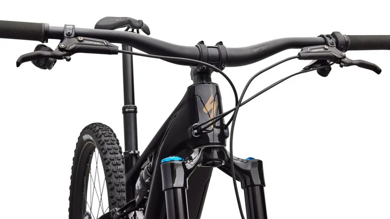 LEVO R EXPERT NB CARB/BNTGLDMET S4 - 29 Zoll E-Mountainbike