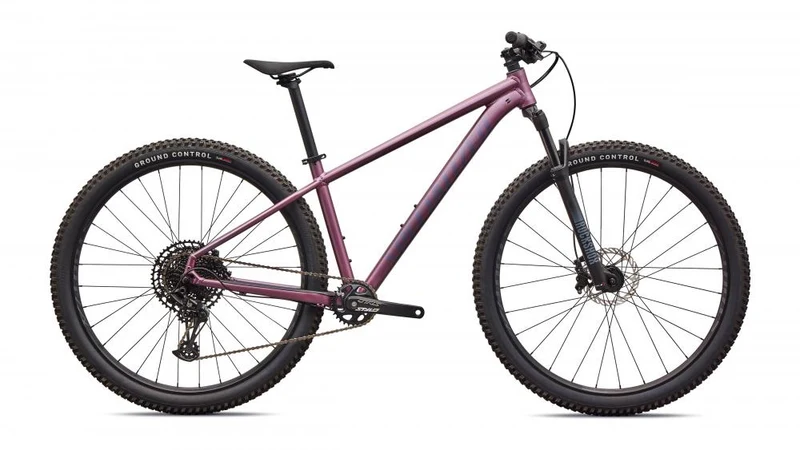 ROCKHOPPER EXPERT KH QTZMET/WHT XL - 29 Zoll Mountainbike