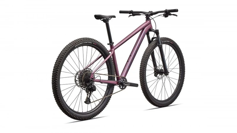 ROCKHOPPER EXPERT KH QTZMET/WHT XL - 29 Zoll Mountainbike