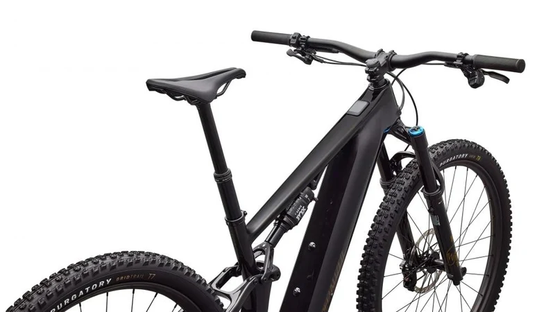 LEVO R EXPERT NB CARB/BNTGLDMET S6 - 29 Zoll E-Mountainbike - E-Mountain Bike