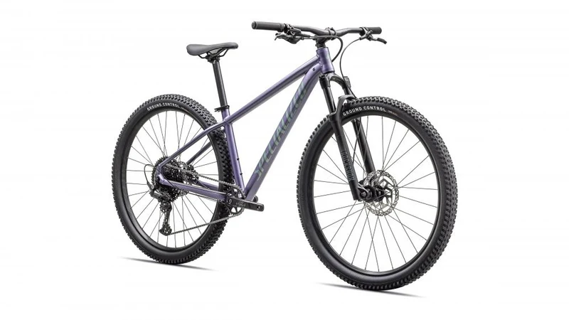 Specialized Rockhopper Comp 29 Zoll Mountainbike - Hardtail MTB Größe L in Metallic Violet/Fjord Metallic