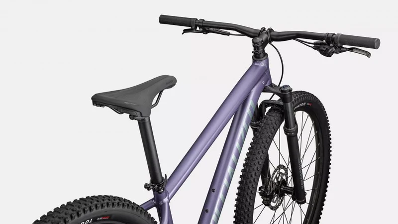 ROCKHOPPER COMP 29 Zoll Mountainbike - Rahmengröße XXL - MVEMET/FJDMET
