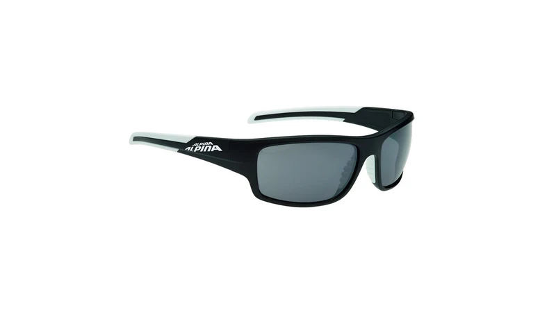 Alpina Testido Fahrradbrille