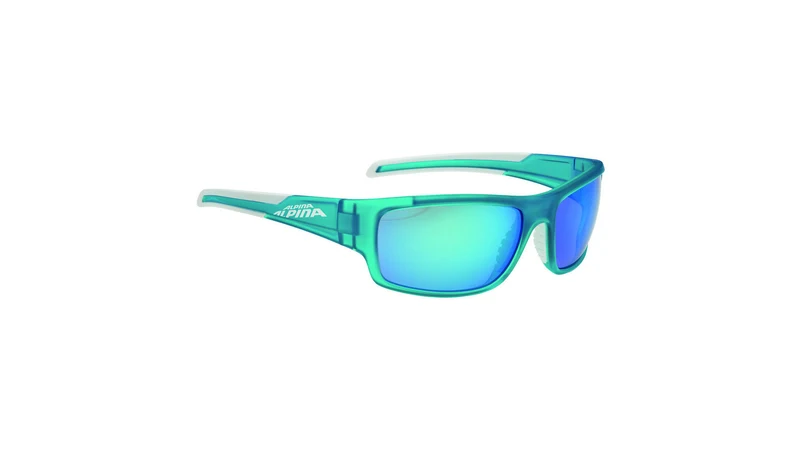 Alpina Testido Fahrradbrille