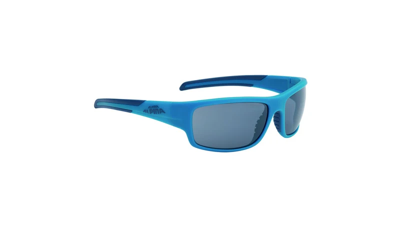 Alpina Testido Fahrradbrille